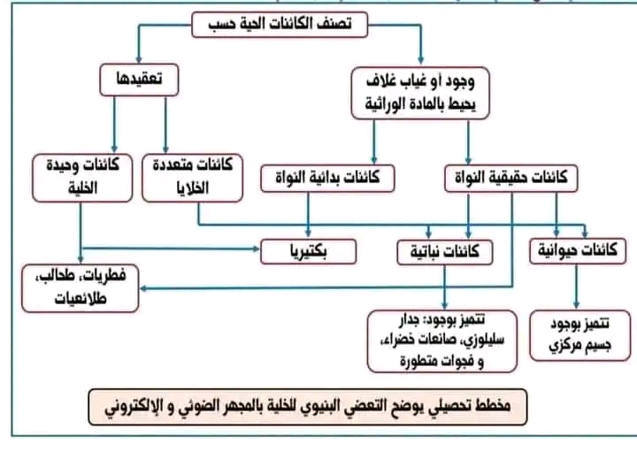 مخطط تحصيلي يوضح التعضي البنيوي للخلية بالمجهر الضوئي و الإلكتروني .