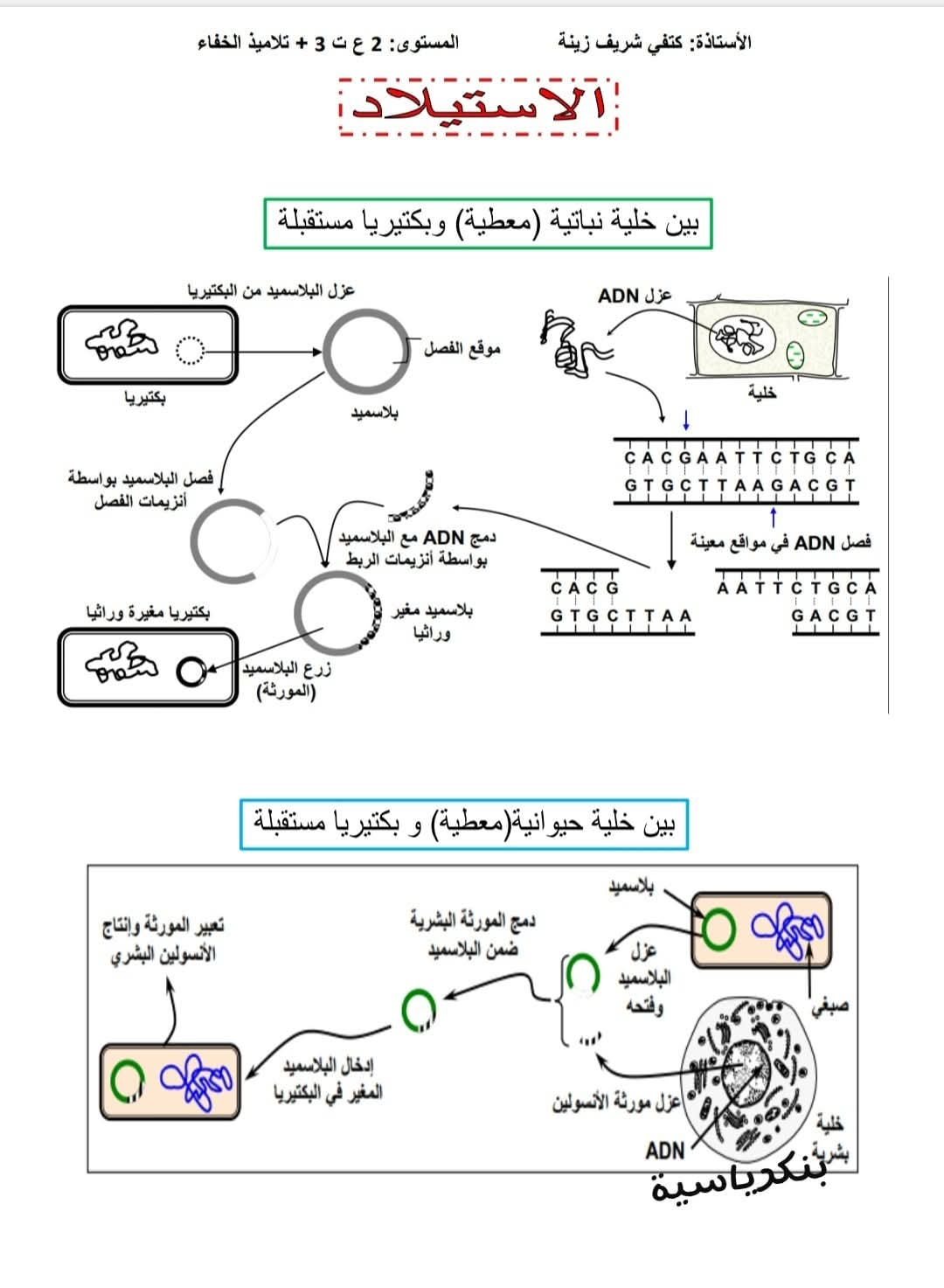 أمثلة عن الاستيلاد التحويل الوراثي ثانية ثانوي